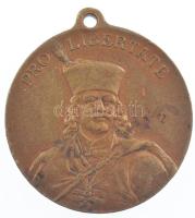 1903. "Pro Libertate / A kassai Rákóczi-kiállítás emlékére" kétoldalas bronz emlékérem fül...