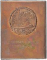 1947. A mosava legjobb kvucája bronz zsidó plakett (88x69mm) T:2 / Hungary 1947. The best kvuca in the mosava bronze jewish plaque (88x69mm) C:XF