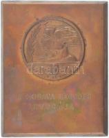 1947. "A mosava legjobb kvucája" bronz zsidó plakett (88x69mm) T:2 / Hungary 1947. "The best kvuca in the mosava" bronze jewish plaque (88x69mm) C:XF