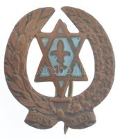 ~1930. Részben zománcozott bronz zsidó cserkész jelvény (23x21mm) T:2 kissé hajlott lemez / ~1930. Partially enamelled bronze jewish scout badge (23x21mm) C:XF slightly bent