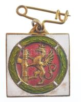 Olaszország ~1930-1940. Külföldiek Olasz Egyeteme, Perugia zománcozott bronz jelvény (20x20mm) T:2 / Italy ~1930-1940. Italian University for Foreigners, Perugia enamelled bronze badge (20x20mm) C:XF