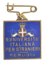 Olaszország ~1930-1940. "Külföldiek Olasz Egyeteme, Perugia" zománcozott bronz jelvény (20...