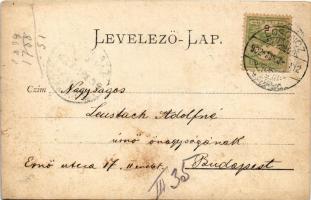 1902 Losonc, Lucenec; A felsővattai Wattay (Wathay) család sírjai a temetőben / cemetery, gravestone...