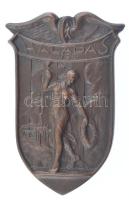Alföldy János (1902-1966) ~1920-1930. Haladás Vasutas Sport Egyesület egyoldalas bronz plakett (64x41mm) T:1- / Hungary ~1920-1930. Haladás (Progress) Railroaders Sport Club one-sided bronze plaque. Sign.: János Alföldy (64x41mm) C:AU