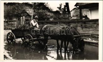 Csík megye, itató székely. Andory Aladics Zoltán mérnök felvétele / Comitatul Ciuc, Transylvanian folklore