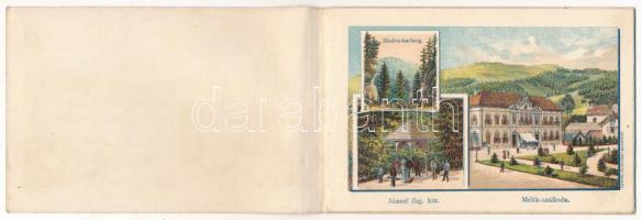 Borszék, Borsec; Emlék Borszék-fürdőről. Nem-képeslapos füzet 5 lappal. Czettel és Deutsch / Andenke...