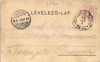 1899 (Vorläufer) Kolozsvár, Cluj; Bánffy palota, Jeney Lajos üzlete. Kováts P. fiai kiadása / palace...