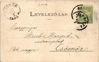 1902 Margitta, Marghita; Református templom, Római katolikus templom és iskola, Mölki apátság kastél...