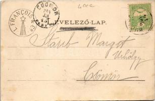 1904 Budapest XXII. Budafok, Louis Francois & Co. pezsgőgyár (EK)