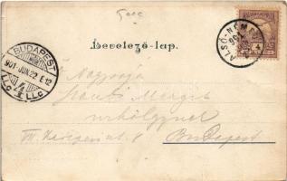 1901 Alsónémedi, Alsó-Némedi; látkép. Art Nouveau, floral, litho (fa)