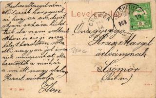 1908 Mezőhegyes, Malomgőz, gőzmalom. W.L. 1659. (szakadások / tears)