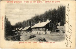 1910 Bisztra, Bistra; Alsó telep. J. Hintz kiadása / Untere Colonie / Colonia din jos / lower colony (Rb)