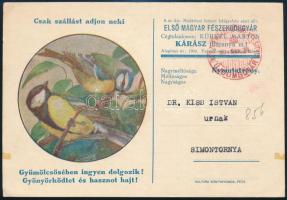 1934 Első Magyar Fészekodugyár (Cégtulajdonos: Kühnel Márton, Kárász), kétoldalas reklám levelezőlap, Vezényi Elemér illusztrációjával, postázva, 15,5x10,5 cm