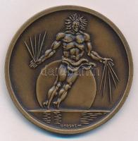 Borsos Miklós (1906-1990) 1980. "XXVIII. International Congress of Physiological Sciences Budap...