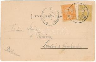 1907 Felek, Freck, Avrig; Kastély, park, fürdő. G. A. Seraphin. Lichtdruk v. Jos. Drotleff / Badehau...