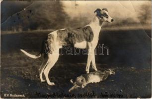1901 Hunting dog with rabbit (EB)