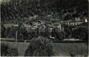 Herkulesfürdő, Herkulesbad, Baile Herculane; Dalszínház / Orpheum / theatre (vágott / cut)