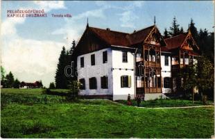 1924 Felsőzúgó-fürdő, Ruzsbachfürdő, Bad Ober Rauschenbach, Kúpele Vysné Ruzbachy; Terézia nyaraló / spa, villa (EK)