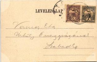 1902 Rozsnyó, Roznava; Vasas gyógyfürdő. Falvi Jenő kiadása / spa, bath