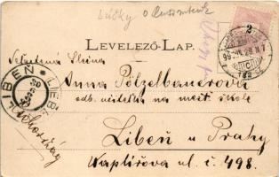 1899 (Vorläufer) Lucski-fürdő, Lúcky Kúpele (Liptó); vízesés, nyaralók. Wlaszlovits Gusztáv 1036. / ...