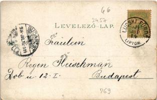 1904 Lucski-fürdő, Lúcky Kúpele (Liptó); látkép / spa, general view. O.Z.M. (kopott sarkak / worn co...