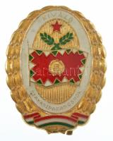 ~1970-1980. Kiváló Szakaszparancsnok aranyozott műgyantás jelvény (40x32mm) T:1-