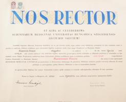 1973 Szegedi Orvostudományi Egyetem által kiállított orvosdoktori diploma, szárazbélyegzővel, illetékbélyegekkel, 55x42 cm + 1978-as hiteles másolat. Feltekerve.