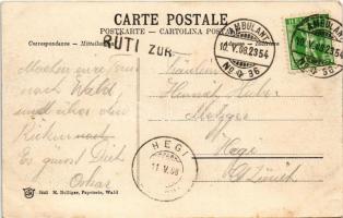 1908 Wald (Zürich), general view + "AMBULANT No. 36."