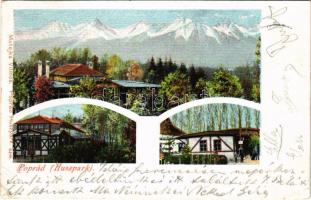 1901 Poprád (Magas-Tátra, Vysoké Tatry), Huszpark kávéház. Matejka Vilmos 6498. / park, café (EB)