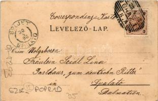 1898 (Vorläufer) Tátra, Tatry; Rózsavölgy (Virágvölgy), Blumental, Kvetnica; Központi Kárpátok, Étte...