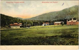 Tátra, Tatry; Virágvölgy (Rózsavölgy), Blumental, Kvetnica; szálloda, nyaralók. Feitzinger Ede 1906/16. No. 88. / hotel, villas