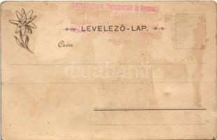 Tátra, Tatry; Virágvölgy (Rózsavölgy), Blumental, Kvetnica; Váralja és Havasi Tündér nyaraló. Feitzi...