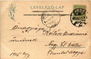 1905 Barlangliget, Höhlenhain, Tatranská Kotlina (Tátra, Magas Tátra, Vysoké Tatry); Landoki híd víz...