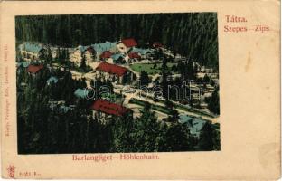 Barlangliget, Höhlenhain, Tatranská Kotlina (Tátra, Magas Tátra, Vysoké Tatry); látkép. Feitzinger Ede 1902/12. 621L. / general view (fl)