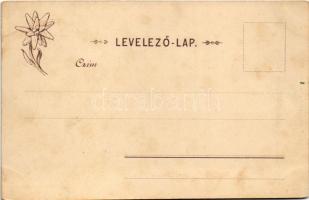 Barlangliget, Höhlenhain, Tatranská Kotlina (Tátra, Magas Tátra, Vysoké Tatry); látkép. Feitzinger E...