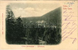 Barlangliget, Höhlenhain, Tatranská Kotlina (Tátra, Magas Tátra, Vysoké Tatry); látkép / general view (Rb)