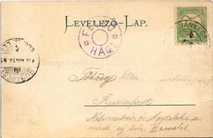 1906 Felsőhági, Visne Hagy, Vysné Hágy (Magas-Tátra, Vysoké Tatry); Étterem, szökőkút, lovaskocsi / ...