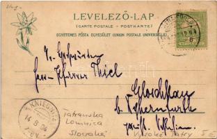 1904 Tátralomnic, Tatranská Lomnica (Magas-Tátra, Vysoké Tatry); Lomniczi Turistaház a Lomnici-csúcc...