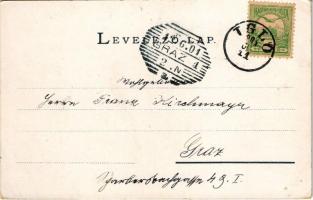 1901 Tátrafüred, Ótátrafüred, Altschmecks, Stary Smokovec (Magas-Tátra, Vysoké Tatry); látkép. Catta...