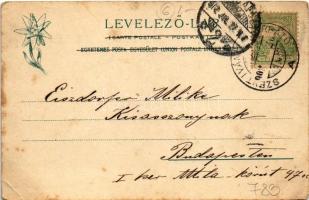 1902 Tátra, Magas-Tátra, Vysoké Tatry; Csorba-tó, Fürdőház. Feitzinger Ede 1902/12. Auto-Chrom / Der...