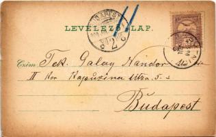 1900 Koritnyica, Korytnica; Zsófia forrás, Új gyógyház Hygiea / spring source, spa, bath, villa. Sch...