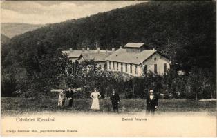1915 Kassa, Kosice; Bankó-fürdő, Bankói fenyves. Breitner Mór kiadása / forest, spa, bath in Bankov (EK)