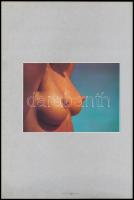 Módos Gábor: Akt-album. A bevezetőt írta és lektorálta: Végvári Lajos. Bp., 1987, Képzőművészeti Kia...