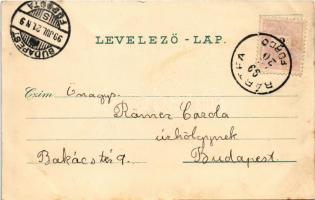 1899 (Vorläufer) Bártfa, Bártfafürdő, Bardejovské Kúpele, Bardiov, Bardejov; Deák szálloda és az új ...