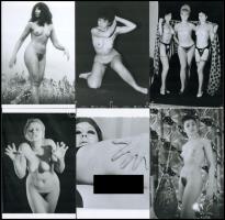 10 db erotikus fotó (modern előhívás), 15x10 cm