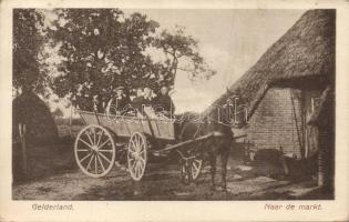 Gelderland horse carriage