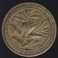 1937. "Liszt Ferenc-Ifjú Polgárok Lapja" nagyalakú Br emlékérem T:2