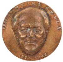 1966. Prof. Dr. Nyírő Gyula 1895-1966 egyoldalas, öntött bronz plakett. Szign.: NY. (~107mm) T:1- kis patina
