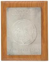 ~1987. "NOSZF (Nagy Októberi Szocialista Forradalom) emlékplakett - 7 évtized, 7 óra" egyoldalas Al plakett fa talapzatra erősítve (136x98mm, talapzat:176x138mm) T:2