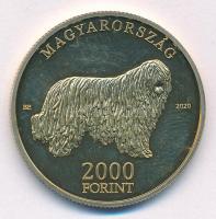 2020. 2000Ft Cu-Ni-Zn "Komondor" T:PP ujjlenyomat 
Adamo EM411